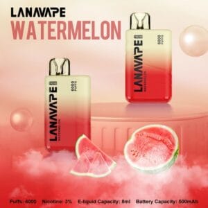 LANA6000口 | 抛棄式電子煙/可充電 | 台灣現貨