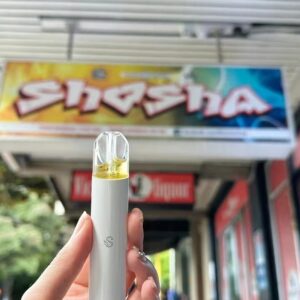 SP2S主機