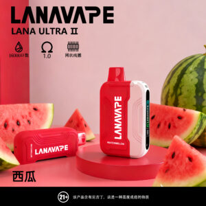 LANA16000口拋棄式電子煙